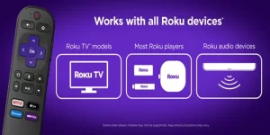 Roku TV remote