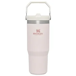 STANLEY IceFlow Tumbler Cup