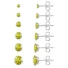 Wssxc Zirconia Stud Earrings