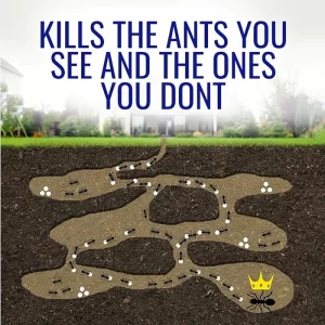 Ant killer