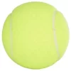 Penn Championship Tennis Balls of USTA