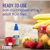 Terro fruit fly capture